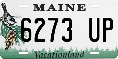 ME license plate 6273UP