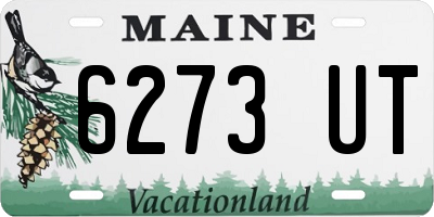 ME license plate 6273UT