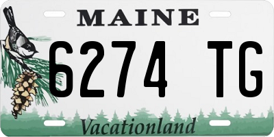 ME license plate 6274TG