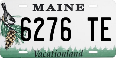 ME license plate 6276TE