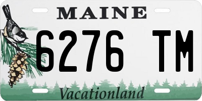 ME license plate 6276TM