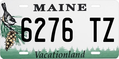 ME license plate 6276TZ