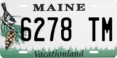 ME license plate 6278TM