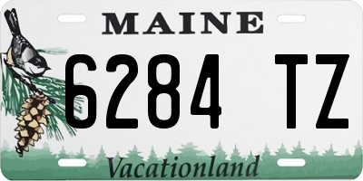 ME license plate 6284TZ