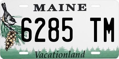 ME license plate 6285TM