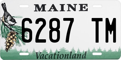 ME license plate 6287TM