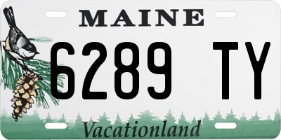 ME license plate 6289TY