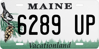 ME license plate 6289UP
