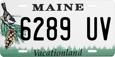 ME license plate 6289UV