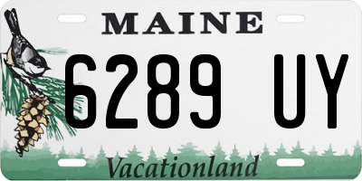 ME license plate 6289UY