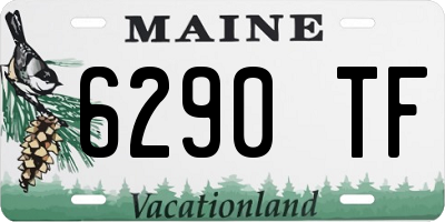 ME license plate 6290TF