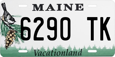 ME license plate 6290TK