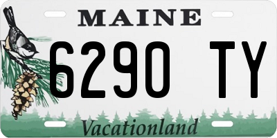 ME license plate 6290TY