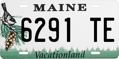 ME license plate 6291TE