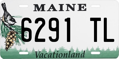 ME license plate 6291TL