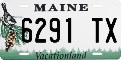 ME license plate 6291TX