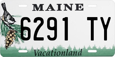 ME license plate 6291TY