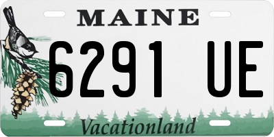 ME license plate 6291UE