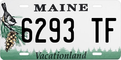ME license plate 6293TF
