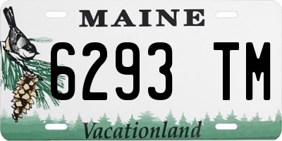 ME license plate 6293TM