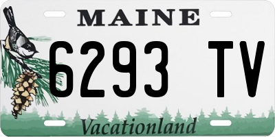 ME license plate 6293TV
