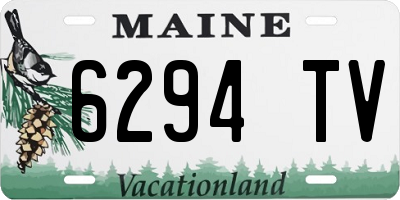 ME license plate 6294TV