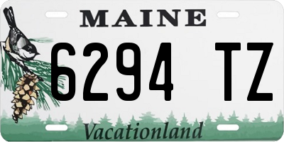 ME license plate 6294TZ