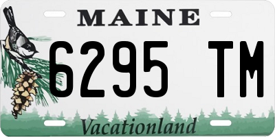 ME license plate 6295TM