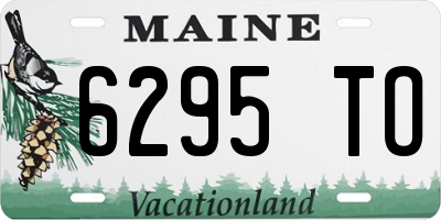 ME license plate 6295TO