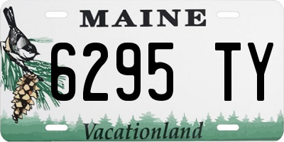 ME license plate 6295TY