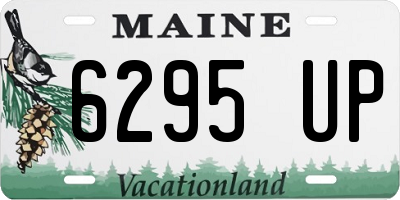 ME license plate 6295UP