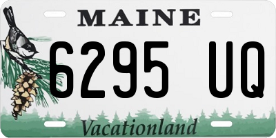 ME license plate 6295UQ