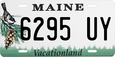 ME license plate 6295UY