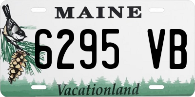 ME license plate 6295VB