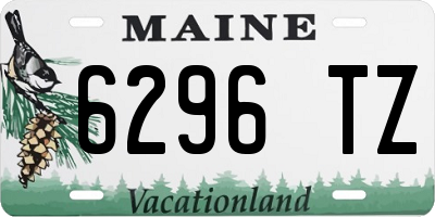 ME license plate 6296TZ