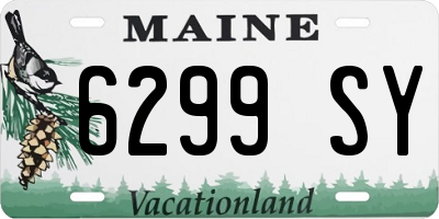 ME license plate 6299SY