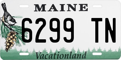 ME license plate 6299TN