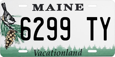 ME license plate 6299TY
