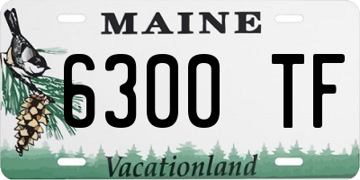 ME license plate 6300TF