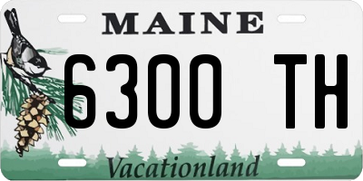ME license plate 6300TH