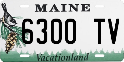 ME license plate 6300TV