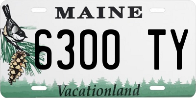 ME license plate 6300TY