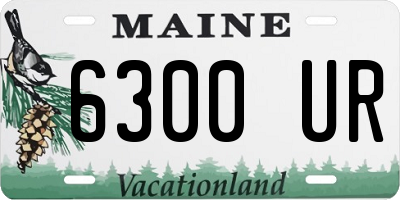 ME license plate 6300UR