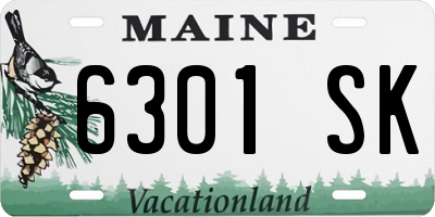 ME license plate 6301SK