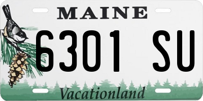 ME license plate 6301SU