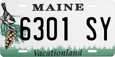 ME license plate 6301SY