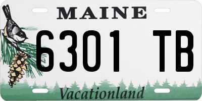 ME license plate 6301TB
