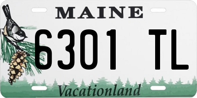 ME license plate 6301TL