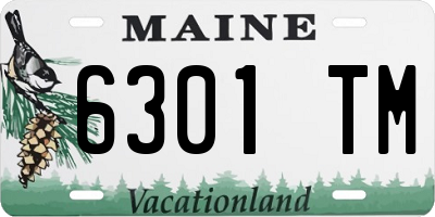 ME license plate 6301TM