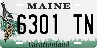 ME license plate 6301TN